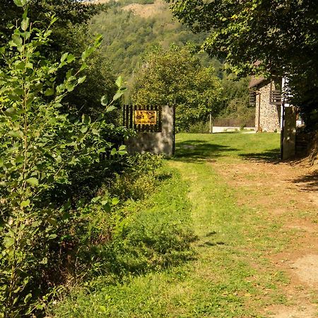 Villa Casa Valea Prejbei Rau Sadului Exterior foto