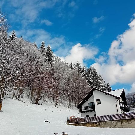 Villa Casa Valea Prejbei Rau Sadului Exterior foto