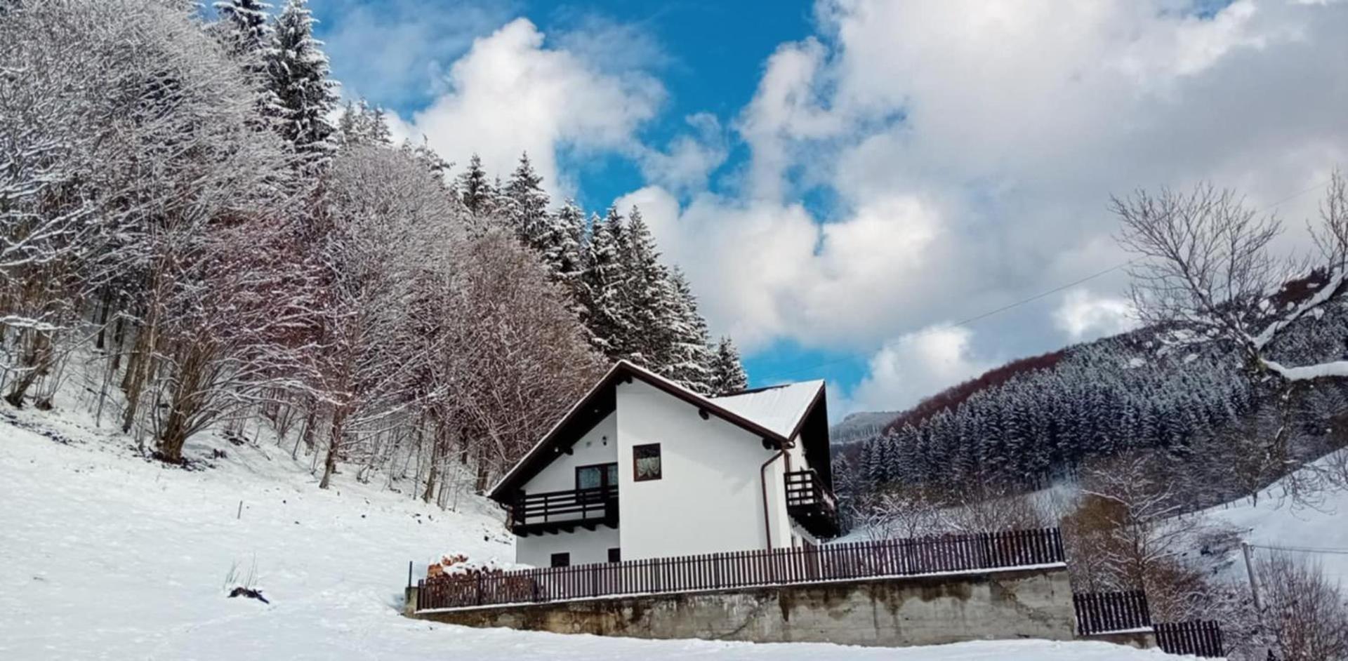 Villa Casa Valea Prejbei Rau Sadului Exterior foto