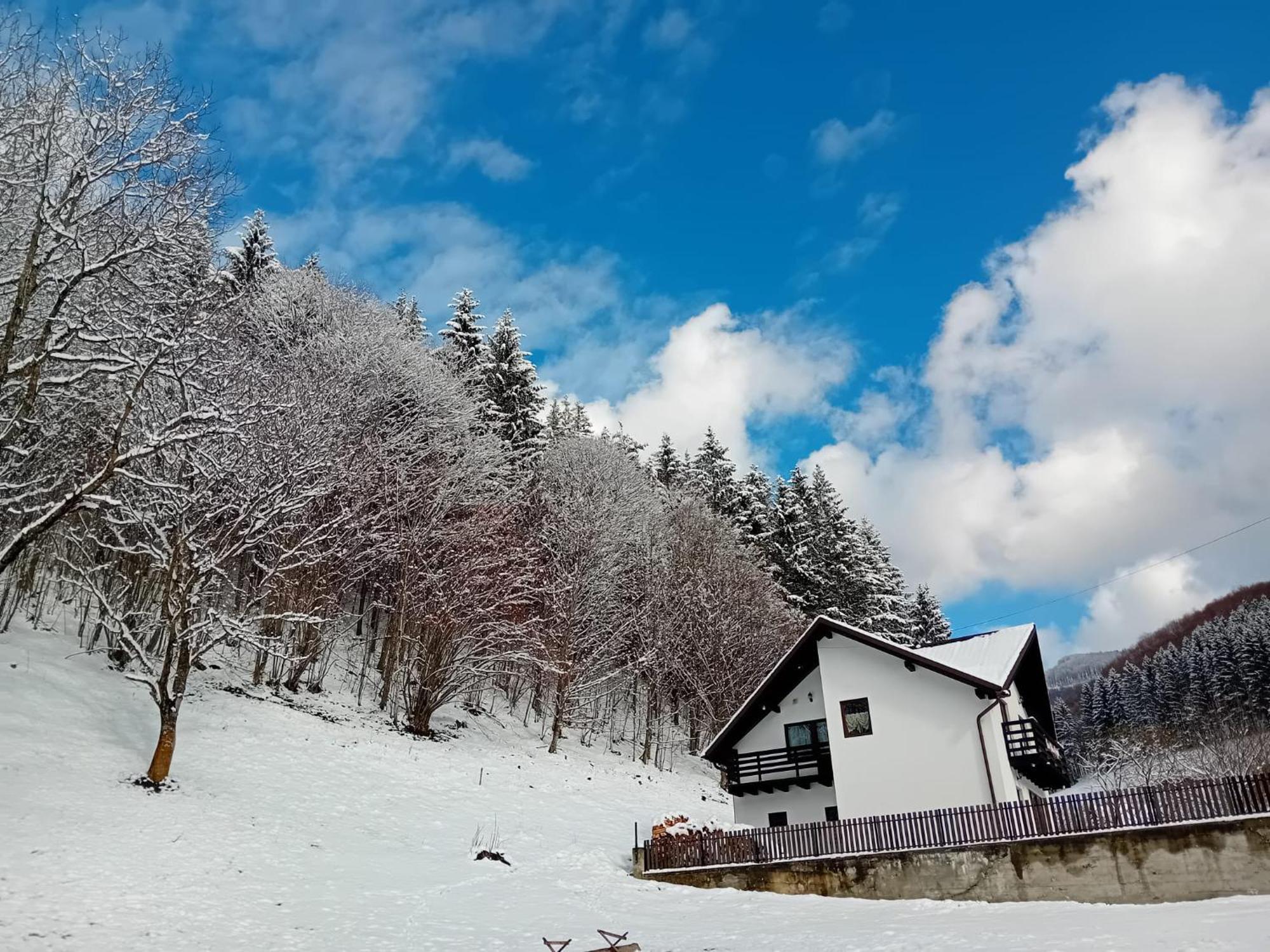 Villa Casa Valea Prejbei Rau Sadului Exterior foto